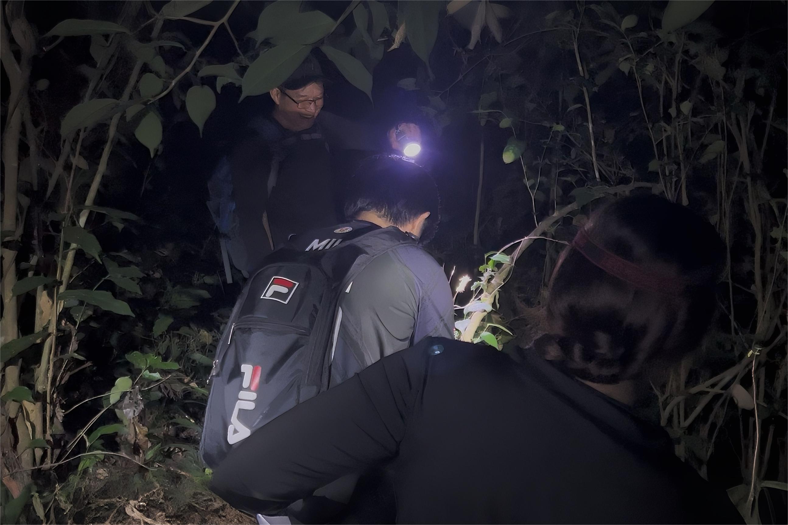 Night Hiking